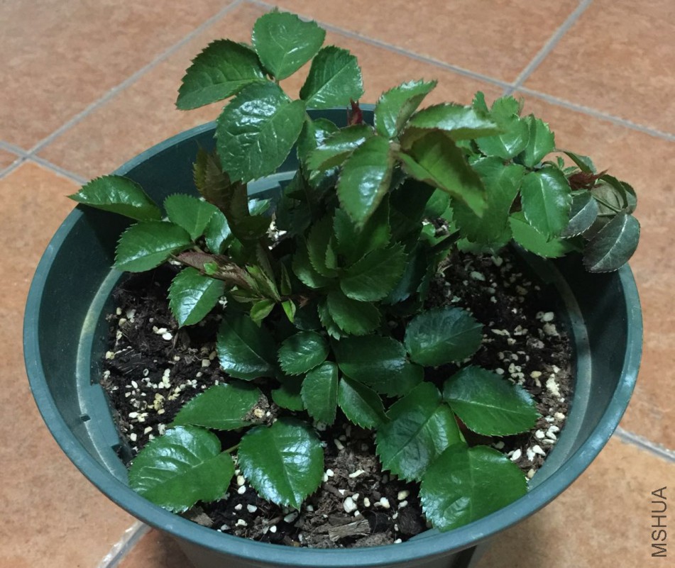 ΢��ͼƬ_20180310203915.jpg