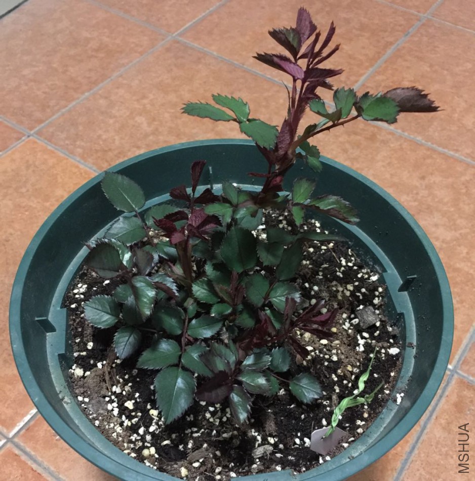 ΢��ͼƬ_20180310203909.jpg