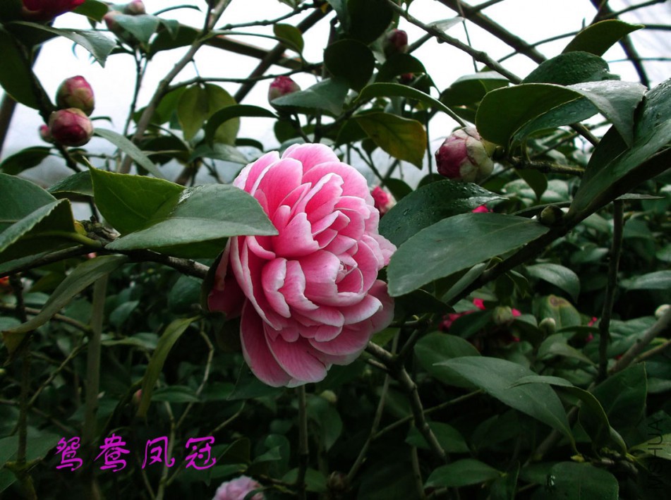 001����.jpg