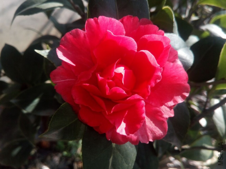 2bf065d20882952a.jpg