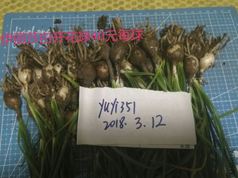 QQͼƬ20180312225700.jpg