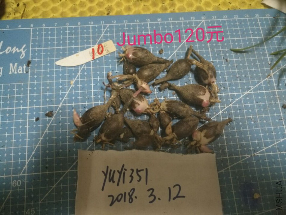 QQͼƬ20180312225704.jpg