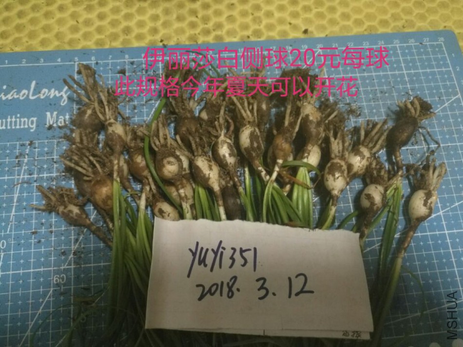 QQͼƬ20180312225707.jpg