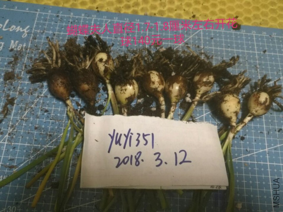QQͼƬ20180312225711.jpg