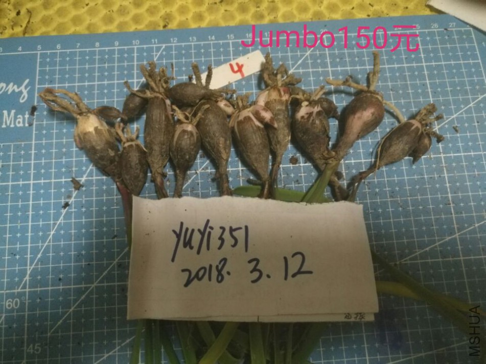 QQͼƬ20180312225718.jpg