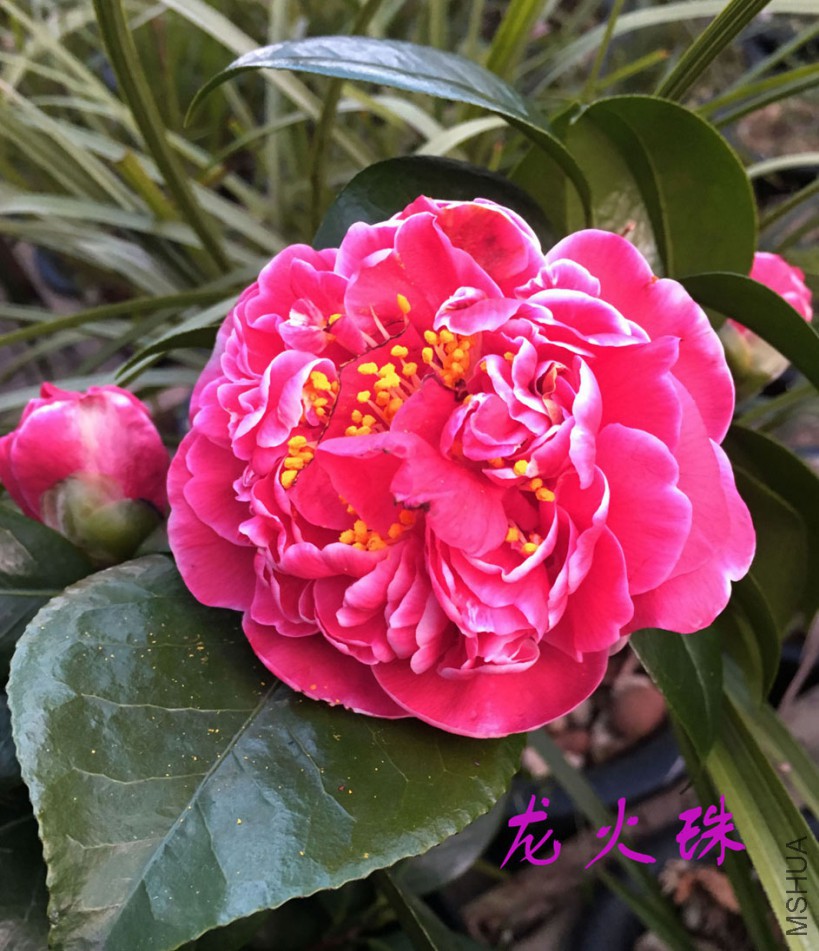 2018-3-13 (16)����.jpg