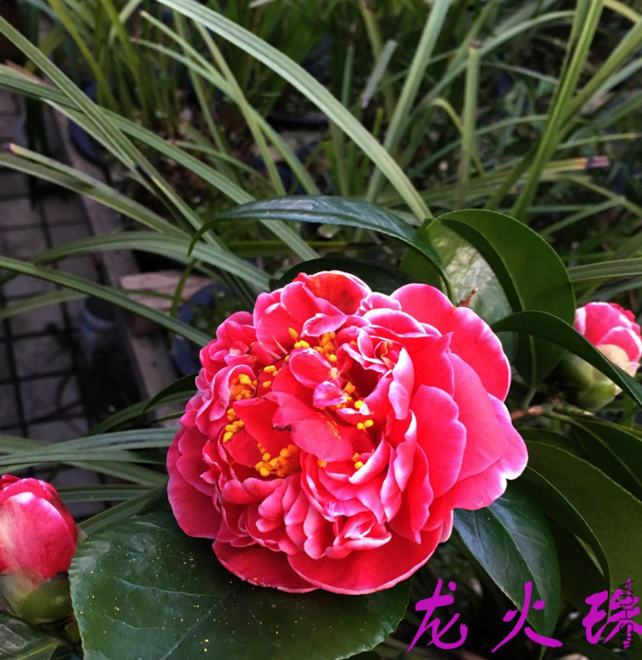 2018-3-13 (24)����.jpg