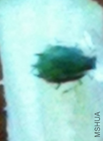 QQ��ͼ20180313084338.png