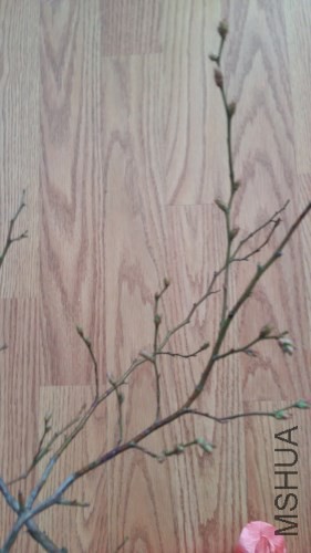 20180312_162223_����.jpg