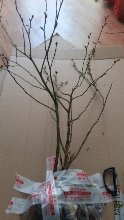 20180310_155014_����.jpg