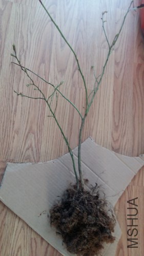 20180310_111929_����.jpg
