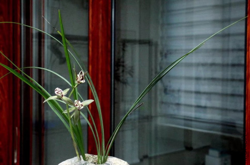 psb (8).jpg
