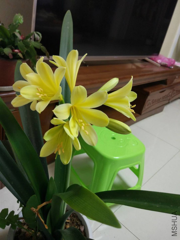 ΢��ͼƬ_20180313204249.jpg