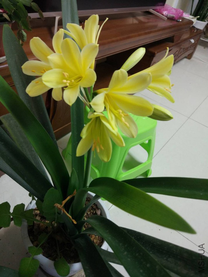 ΢��ͼƬ_20180313204309.jpg