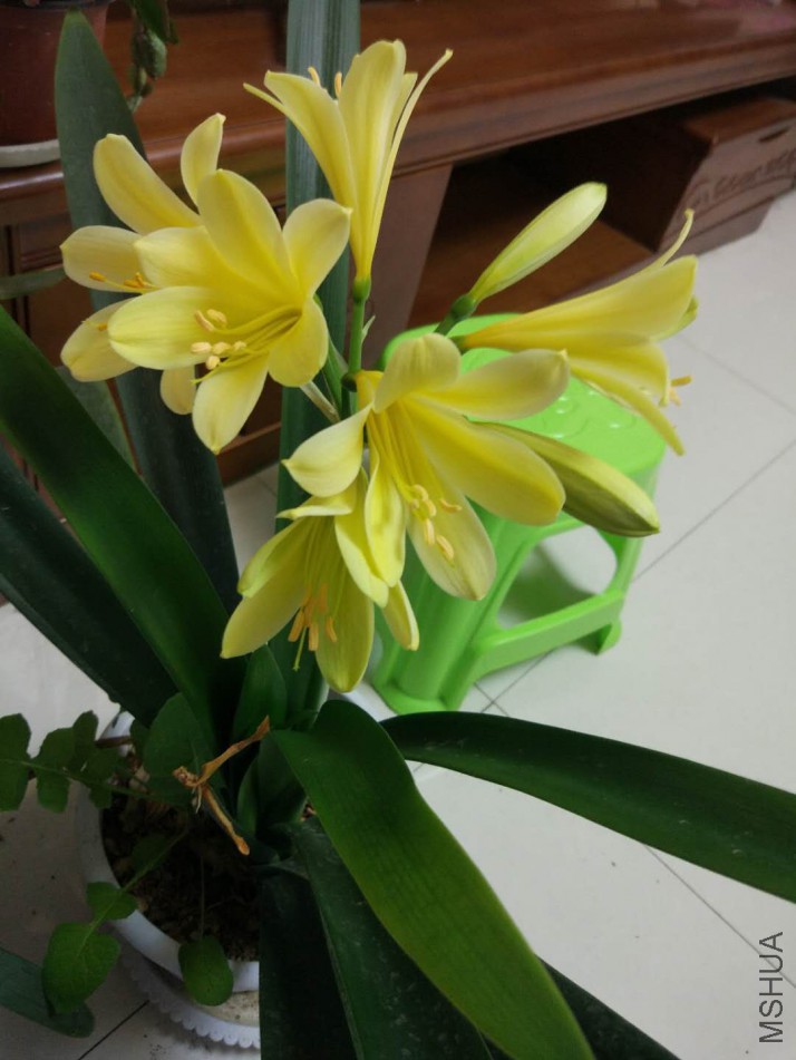 ΢��ͼƬ_20180313204313.jpg