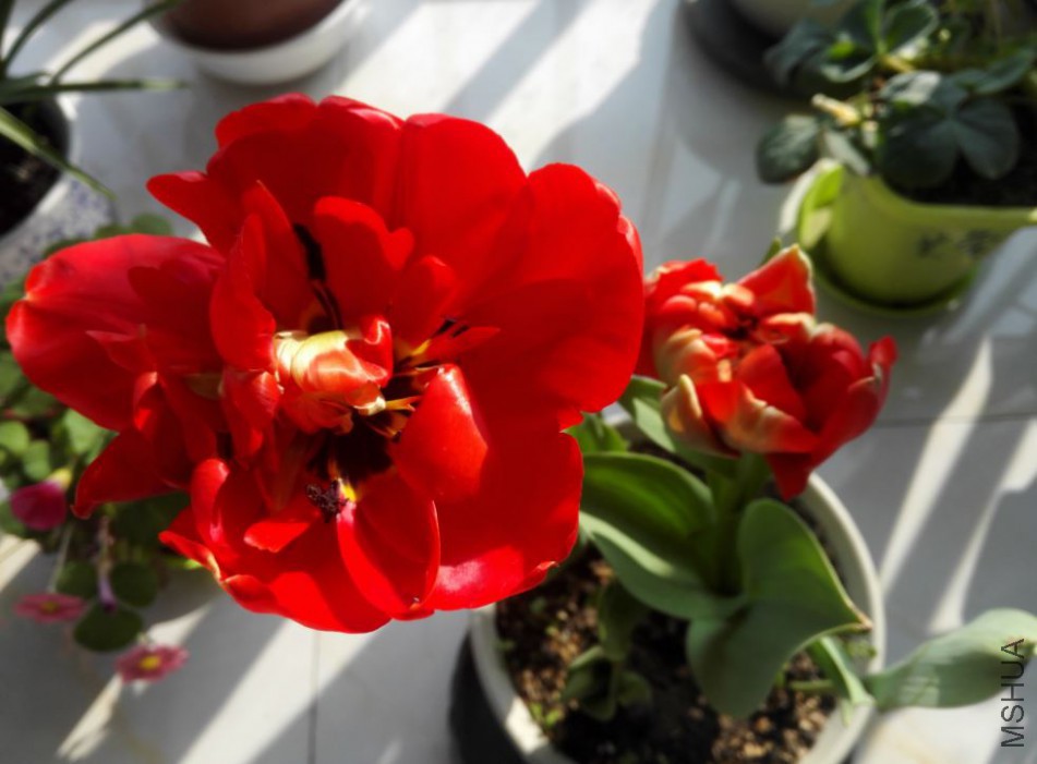 2018-03-14 07_28_17-IMG_20180311_154513.jpg