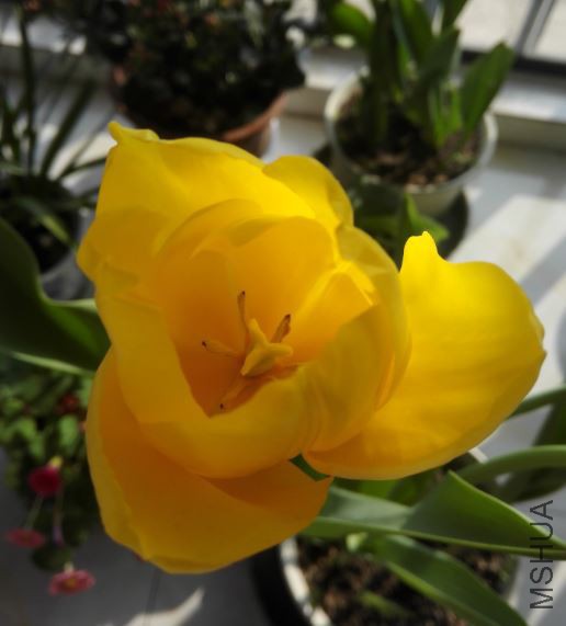 2018-03-14 07_28_00-IMG_20180311_154558.jpg