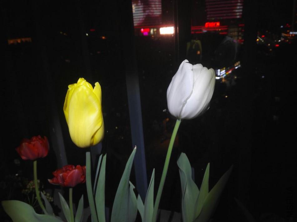 2018-03-14 07_27_42-IMG_20180313_194615.jpg