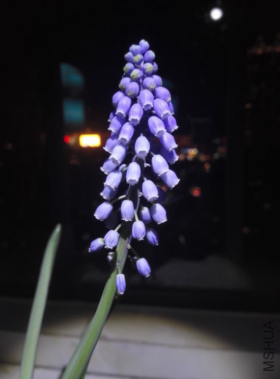 2018-03-14 07_26_58-IMG_20180313_194004.jpg