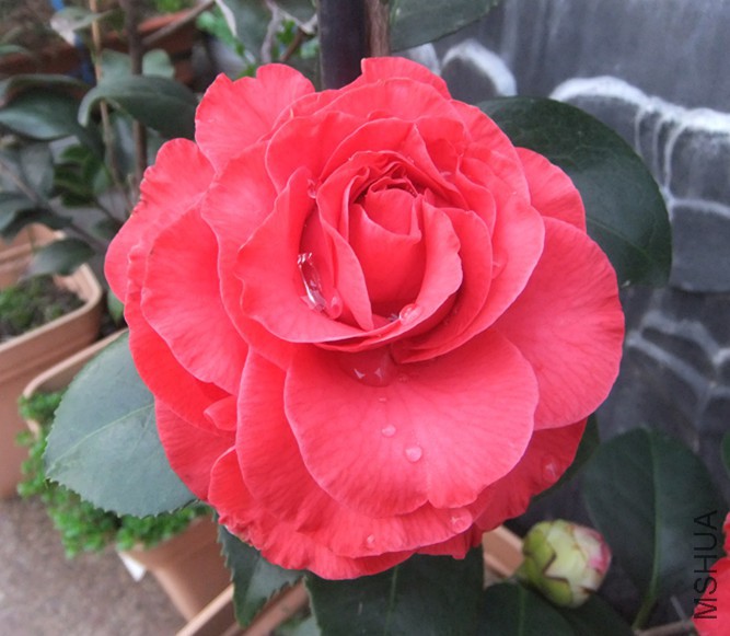 DSCF5348_����.jpg