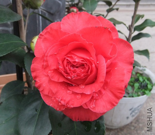 DSCF5354_����.jpg