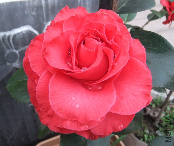DSCF5355_����.jpg