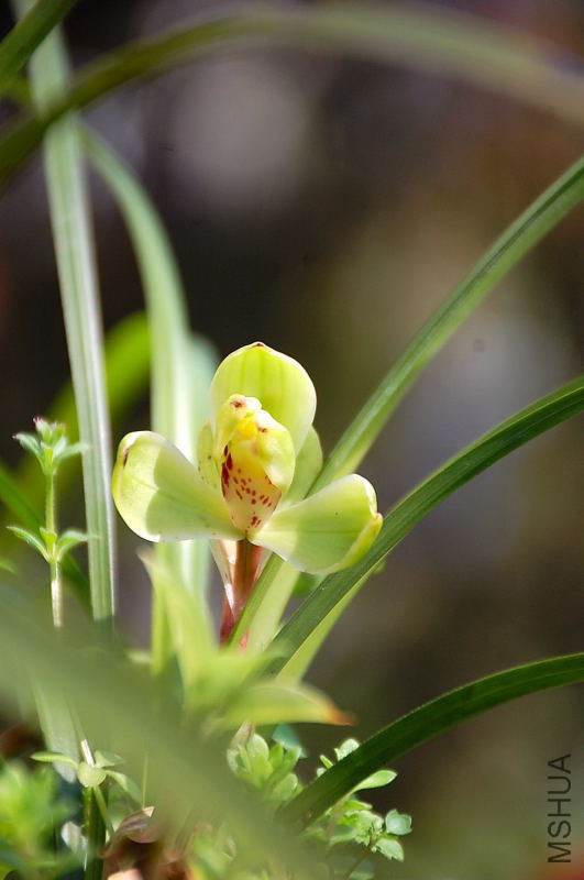 DSC_08230152.JPG