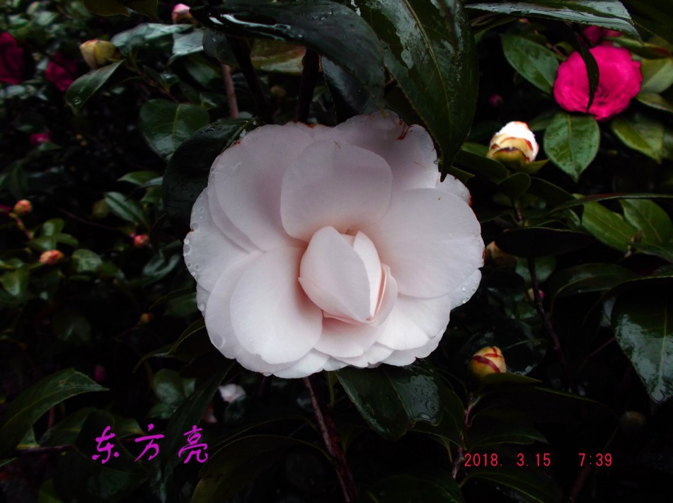 2018-315jxs 017����.jpg