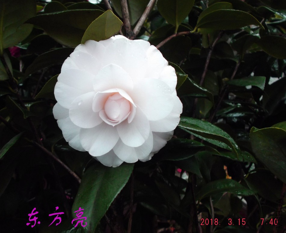 2018-315jxs 018����.jpg