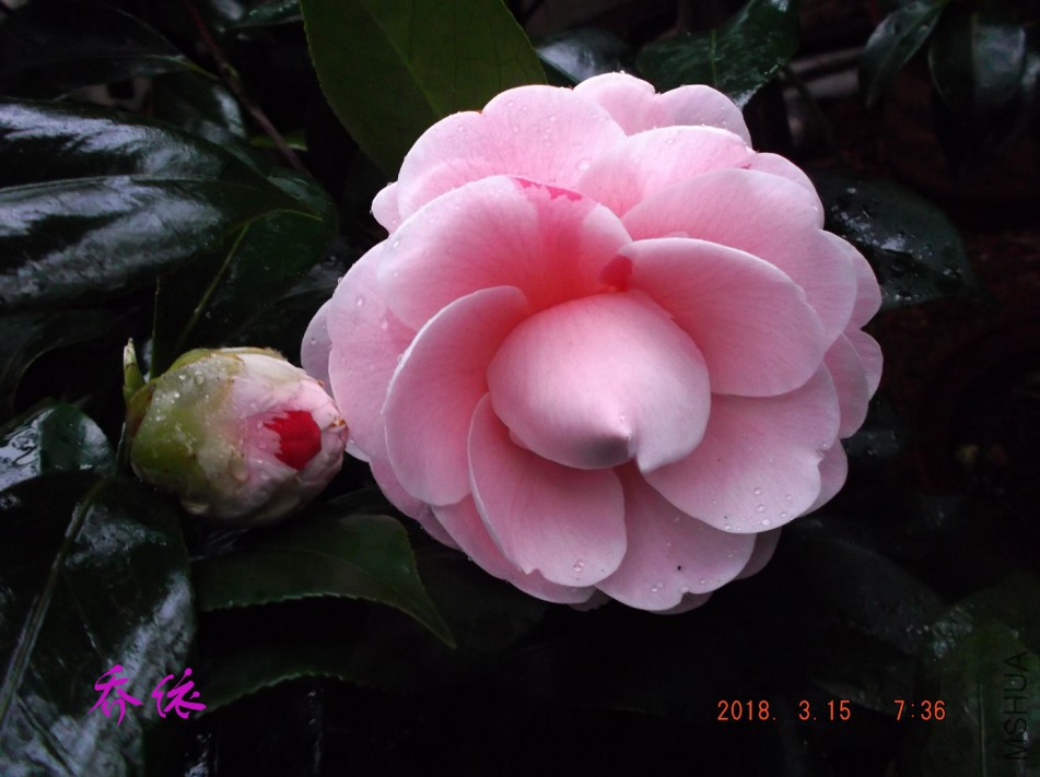 2018-315jxs 011����.jpg