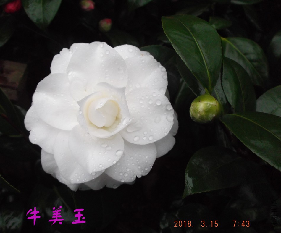 2018-315jxs 027����.jpg