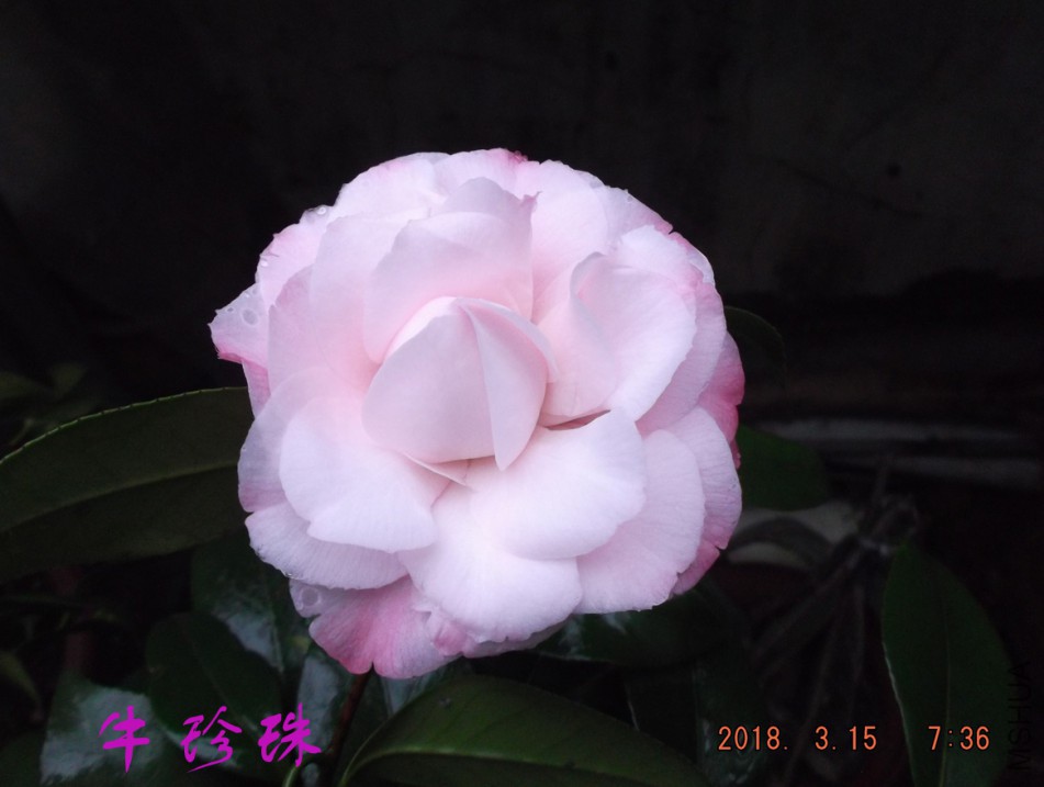 2018-315jxs 012����.jpg