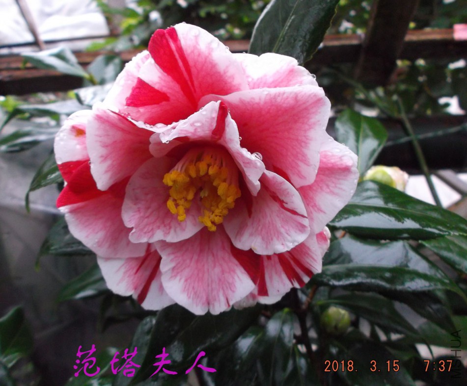 2018-315jxs 014����.jpg