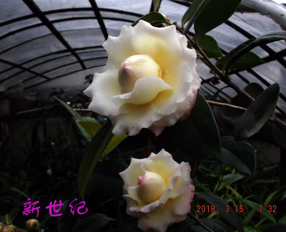 2018-315jxs 001����.jpg