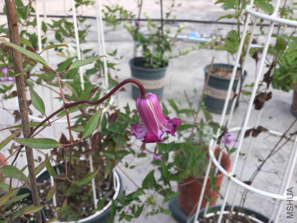 ����Ҫ�Ŀ���ͼ