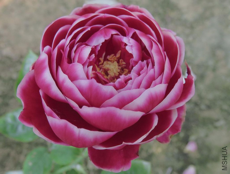 203035dw8fsf3wlby3gwfg.jpg