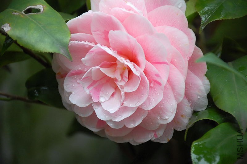 DSC_16460975.JPG