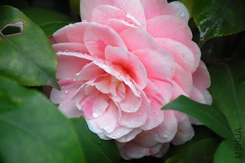 DSC_16440973.JPG
