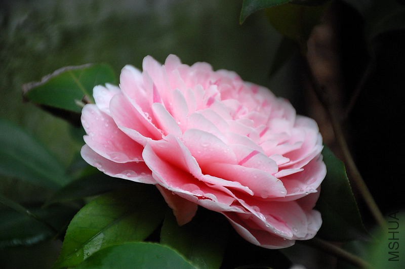 DSC_16650994.JPG
