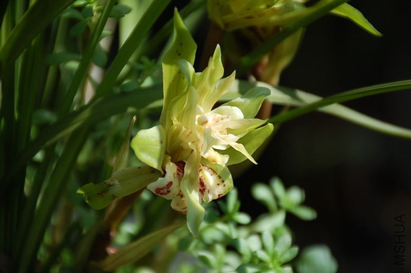 DSC_83041352.JPG