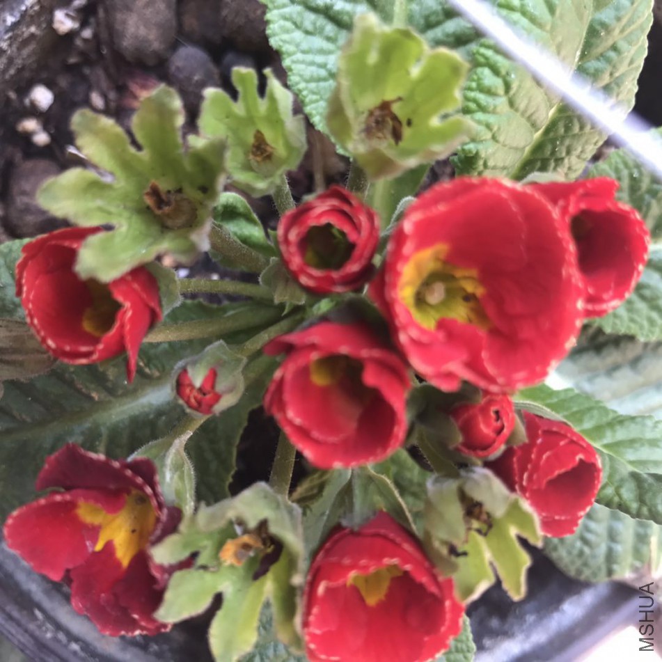 ΢��ͼƬ_201803171553182.jpg