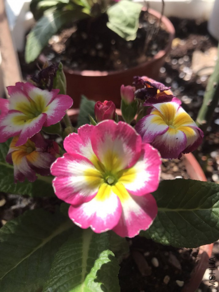 ΢��ͼƬ_201803052233514.jpg