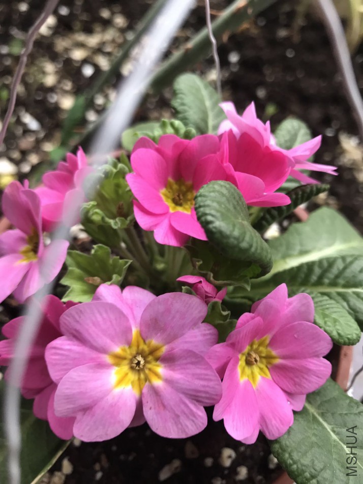 ΢��ͼƬ_201803171553183.jpg