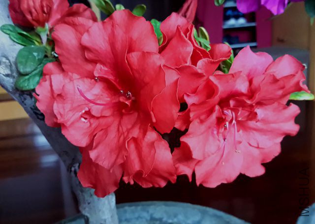 20180318_082320_����.jpg