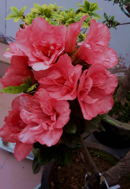20180314_130844_����.jpg