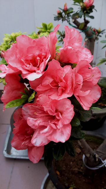 20180314_131707_����.jpg