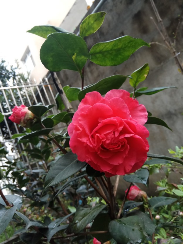 IMG_20180314_083432.jpg