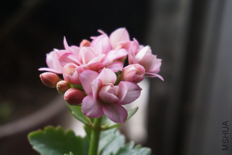 DSC00762_�༭.jpg