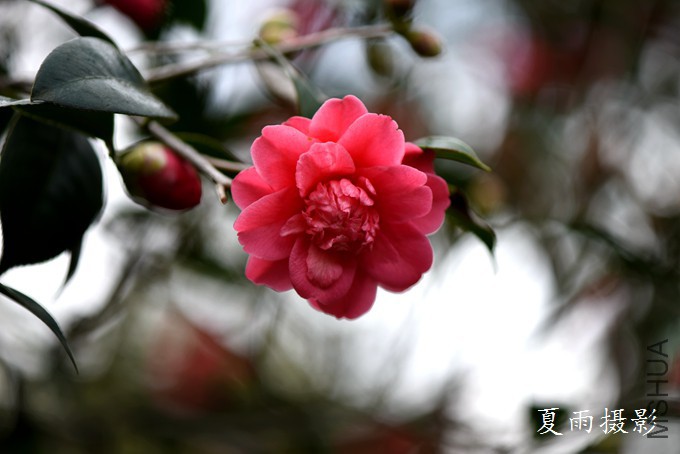 DSC_1367.jpg