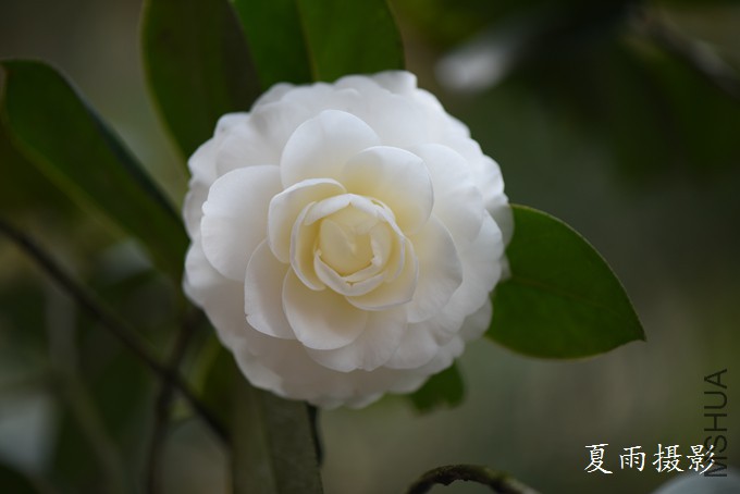 DSC_1384.jpg